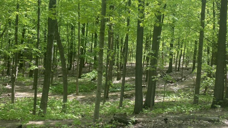 Kegel Alpha trail access - Greendale, WI