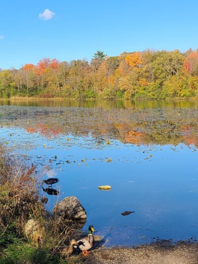 Scout Lake Park - Greendale, WI