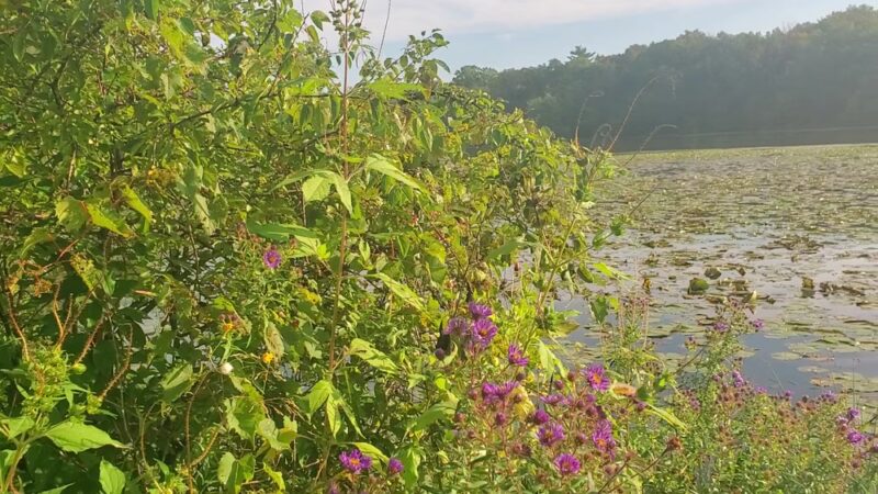 Scout Lake Park - Greendale, WI