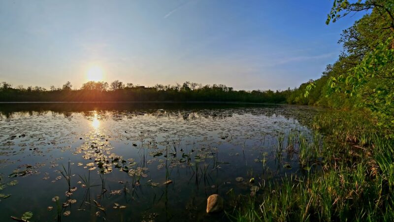 Scout Lake Park - Greendale, WI