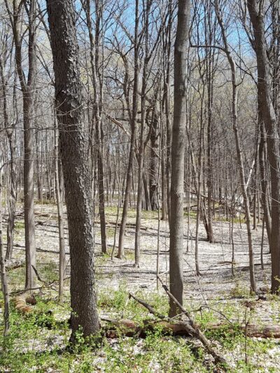 Sherwood Park - Greendale, WI
