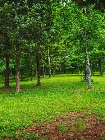 Dogwood Park - Greeneville, TN