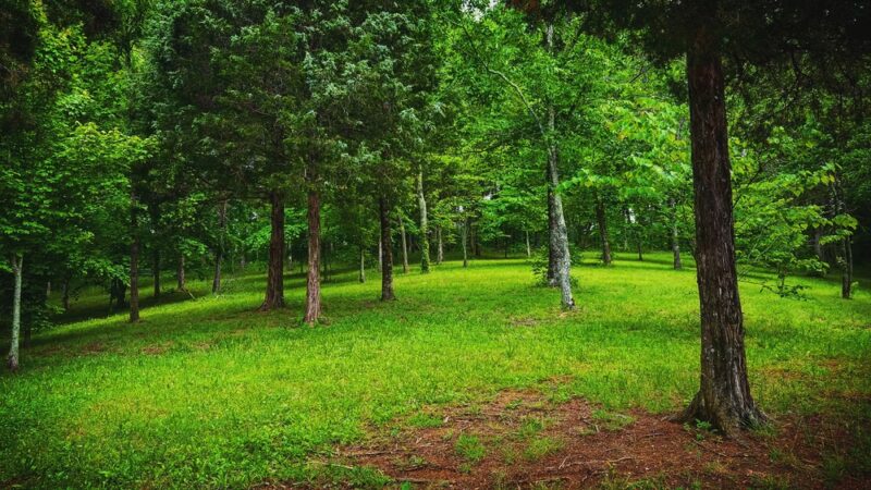 Dogwood Park - Greeneville, TN