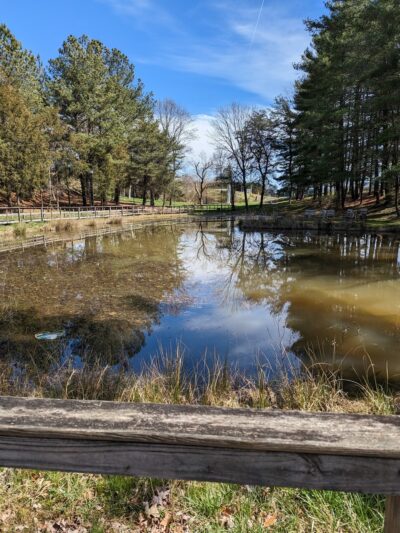 Dogwood Park - Greeneville, TN
