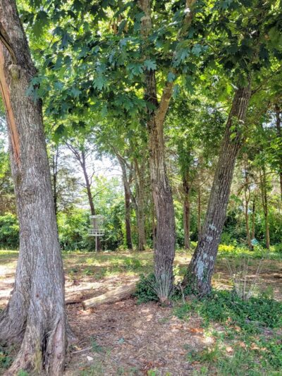 W.T. Daniels Park - Greeneville, TN