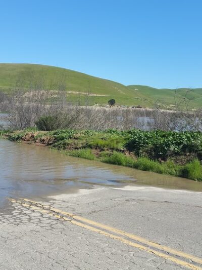 Oak Park - Greenfield, CA