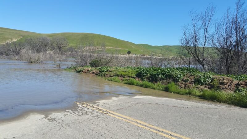 Oak Park - Greenfield, CA