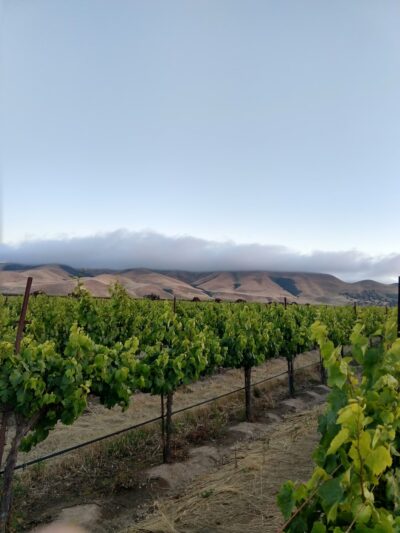 Patriot Park - Greenfield, CA