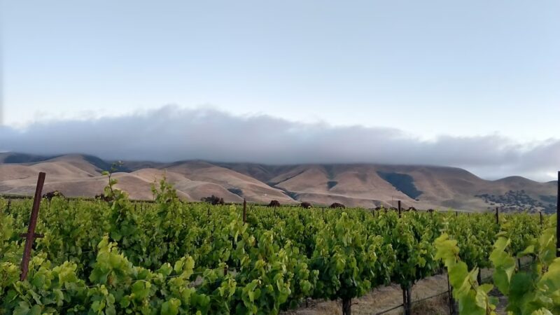 Patriot Park - Greenfield, CA