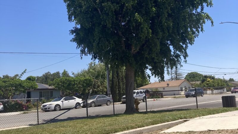 Primavera Park - Greenfield, CA