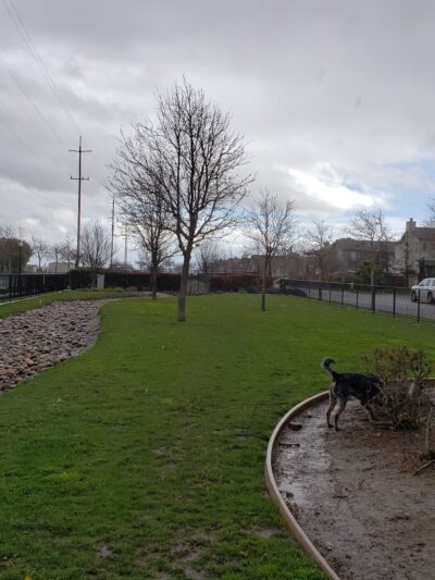 Tuscany Park - Greenfield, CA