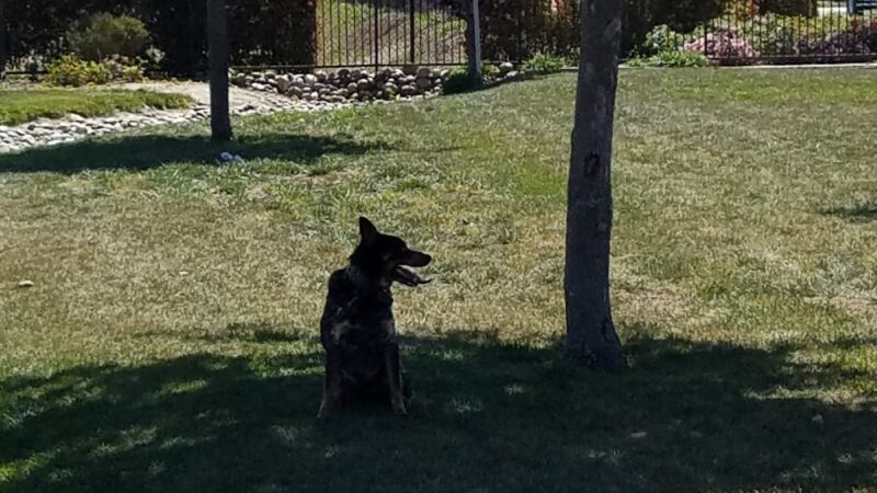 Tuscany Park - Greenfield, CA