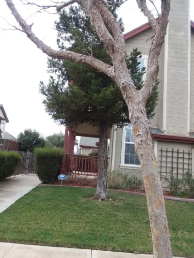 Tuscany Park - Greenfield, CA