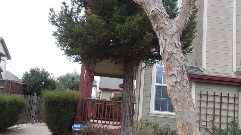 Tuscany Park - Greenfield, CA