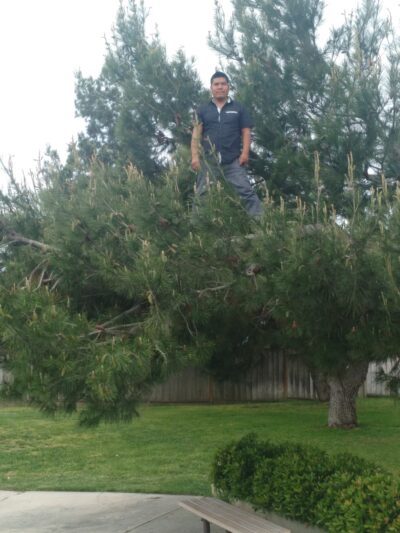 Tyler Park - Greenfield, CA