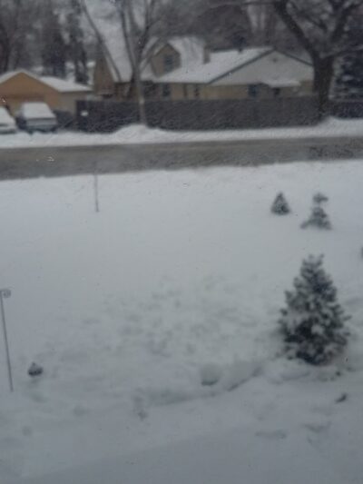 Coopers Hawk Park - Greenfield, WI