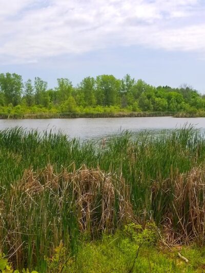 Grobschmidt Park - Greenfield, WI