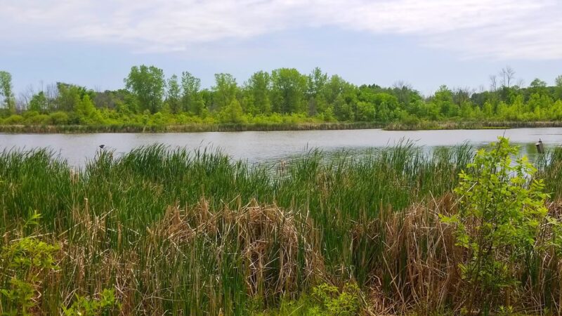Grobschmidt Park - Greenfield, WI