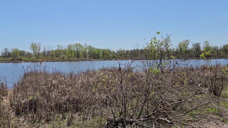 Grobschmidt Park - Greenfield, WI