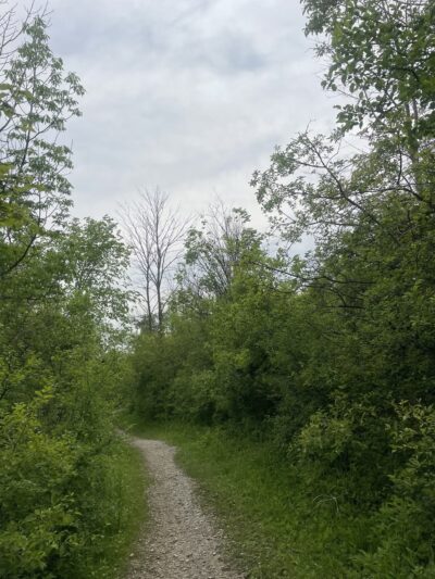 Grobschmidt Park - Greenfield, WI
