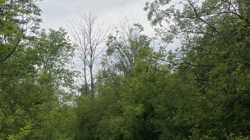 Grobschmidt Park - Greenfield, WI
