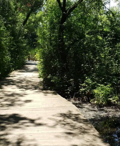 Konkel Park South Pavilion - Greenfield, WI