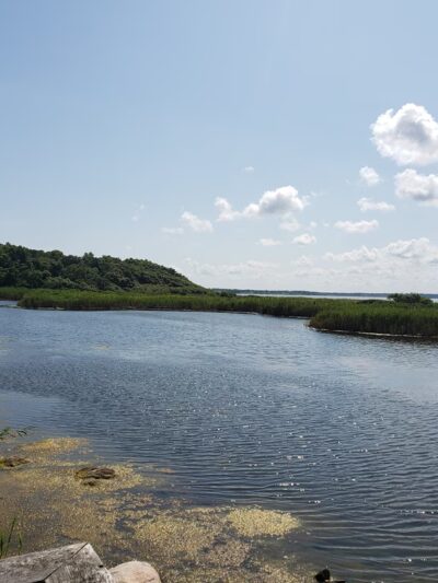 Inlet Pond County Park - Greenport, NY