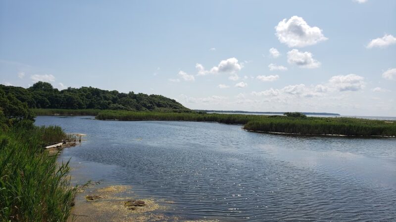 Inlet Pond County Park - Greenport, NY