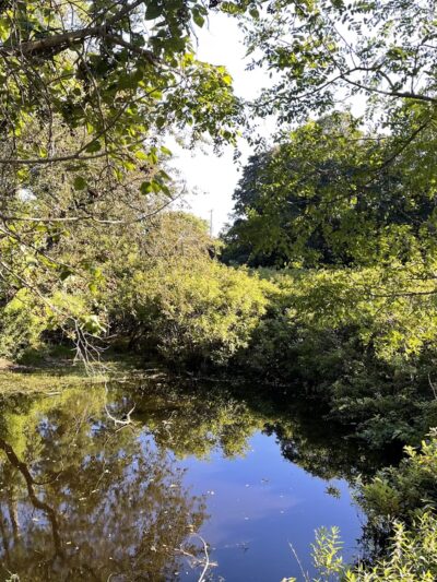 Inlet Pond County Park - Greenport, NY