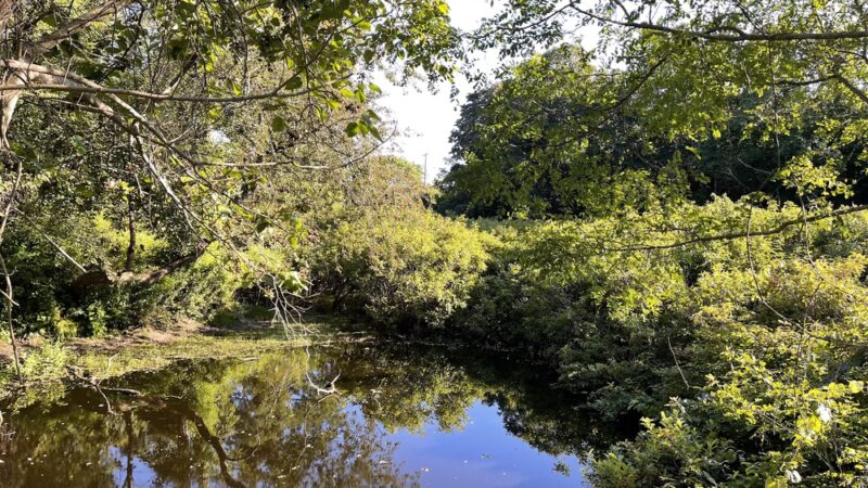 Inlet Pond County Park - Greenport, NY
