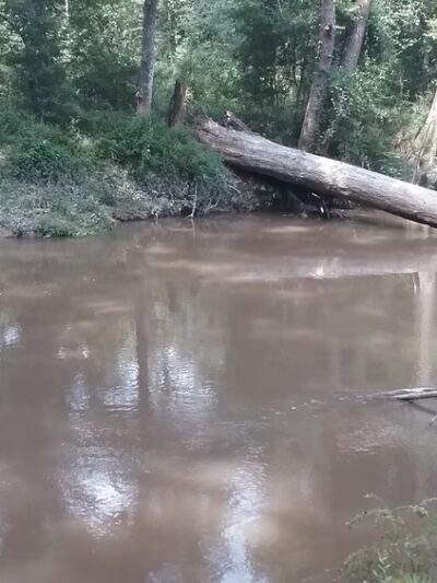 Maurepas La - Greensburg, LA