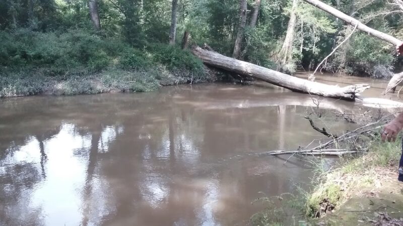 Maurepas La - Greensburg, LA