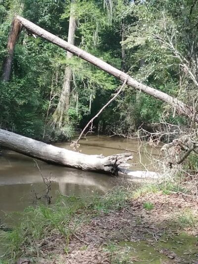 Maurepas La - Greensburg, LA