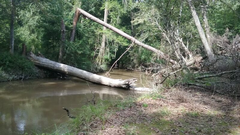 Maurepas La - Greensburg, LA