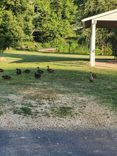 Greenup City Park - Greenup, KY