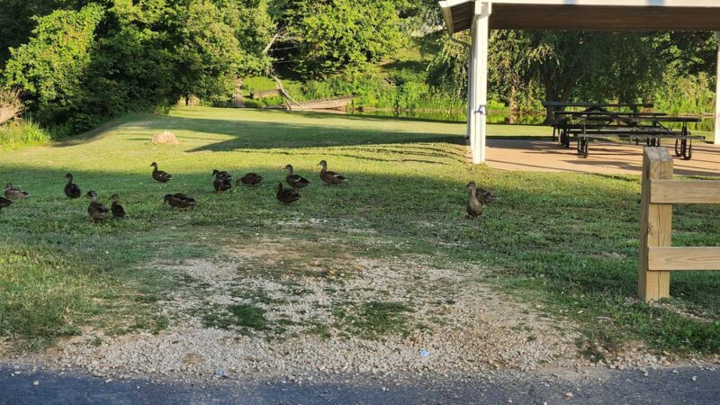 Greenup City Park - Greenup, KY