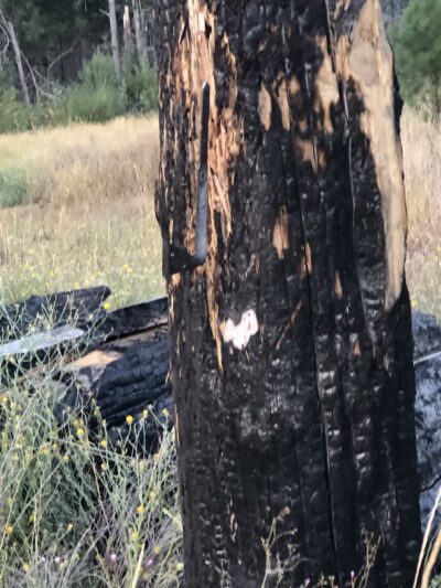 Greenville Community Park - Greenville, CA