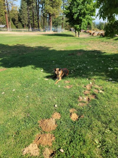 Greenville Community Park - Greenville, CA