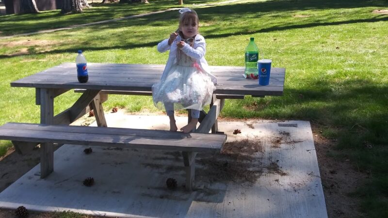 Greenville Community Park - Greenville, CA