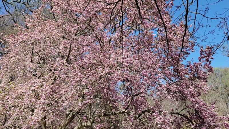 Valley Garden Park - Greenville, DE