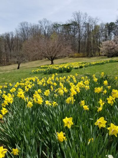 Valley Garden Park - Greenville, DE