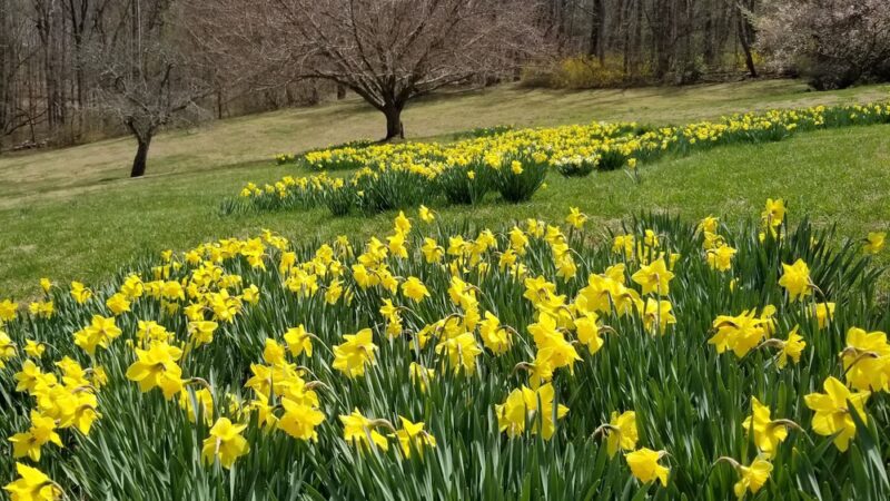 Valley Garden Park - Greenville, DE