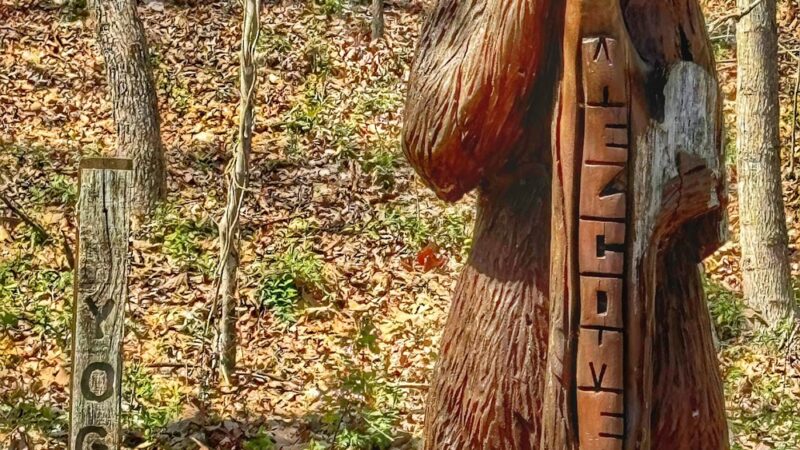 Brizendine Brothers Nature Park - Greenville, KY
