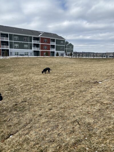 Central Bark Park - Greenville, MI