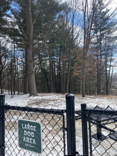 Central Bark Park - Greenville, MI
