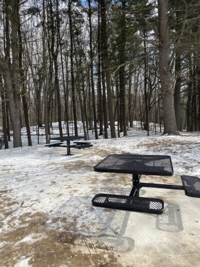 Central Bark Park - Greenville, MI