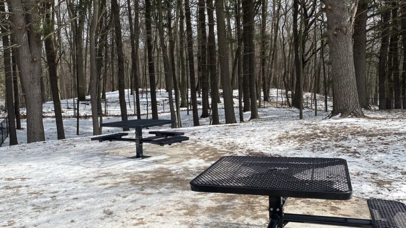Central Bark Park - Greenville, MI