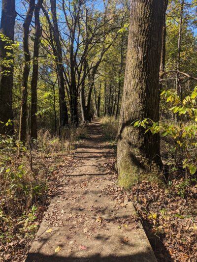 GREENVILLE RECREATION AREA - Greenville, MO