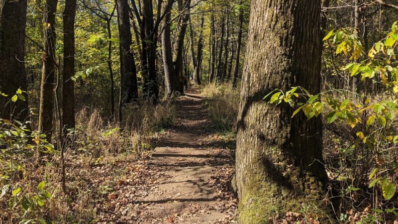 GREENVILLE RECREATION AREA - Greenville, MO