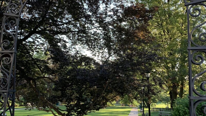 Greenwich Common - Greenwich, CT